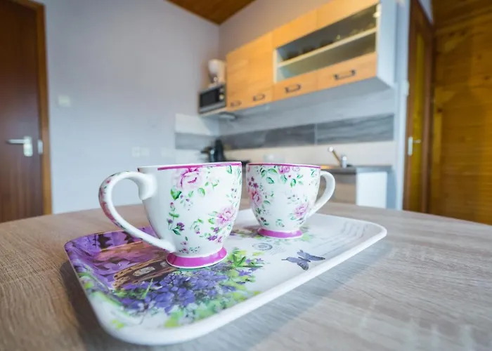 Csini Vendeghaz Affittacamere